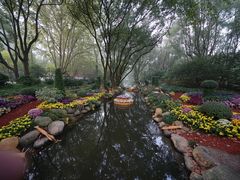 -上海共青森林公园