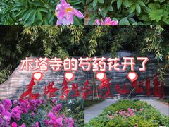-木塔寺遗址生态公园