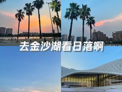 -金沙湖公园