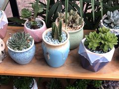 -北边的花店(泛悦城市广场店)