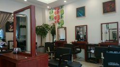 picture-璞玺形象