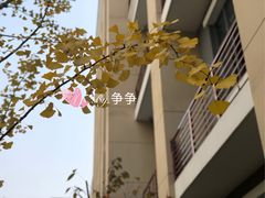 -锡师附小学(学前街校区)