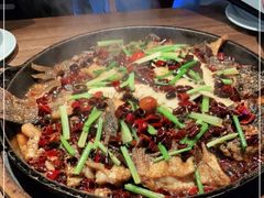 -老板恋上鱼(印象城店)