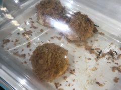 -BC烘焙伴手礼(新光天地店)