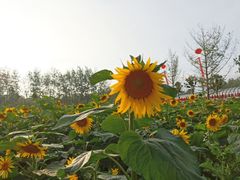 -云幽谷旅游区