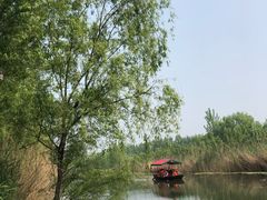 -微山湖红荷湿地景区