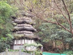 -深圳国际园林花卉博览园