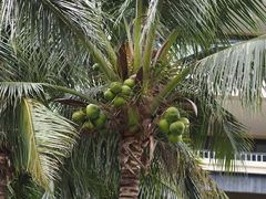 -海南清水湾莱佛士酒店