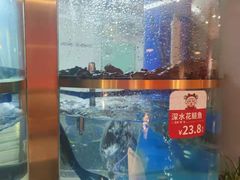 -蜀滋香鲜鱼美蛙火锅(339店)