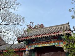 -天津妈祖文化园