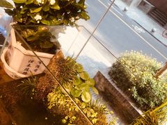 -甜心闲生传统手工冰粉(奎星楼店)