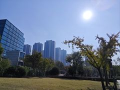 -南翔镇银翔湖公园