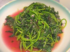 -松沪名灶·豆浆鱼头·新上海菜(飞航吾悦广场店)