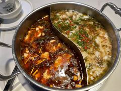 酸菜黑鱼鸳鸯小锅-德林酸菜鱼火锅(南丹店)