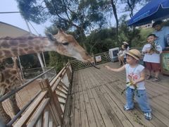 -泉州海丝野生动物世界