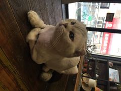 iphone_upload_pic-MIKAKU(万达广场上海宝山店)