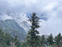 -九峰山