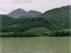 -后柳水乡