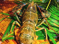 -79号渔船海鲜饭店(华强北店)