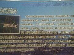 -洛阳龙门海洋馆