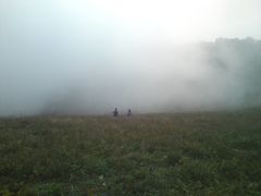 -白草畔自然风景区