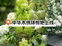 -无锡梅园公园