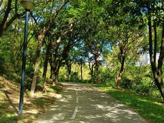 -燕晗山郊野公园