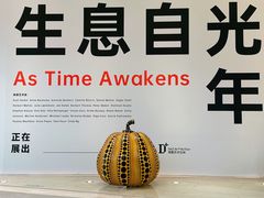 -德基艺术博物馆