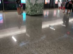-新南门(地铁站)