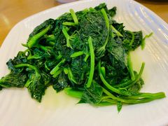 -台北楚楚园馅饼粥(虹桥南丰城店)