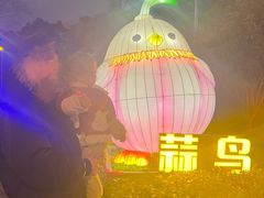-武汉园博园(武汉自然博物馆)