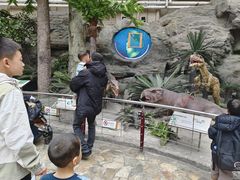 -国家自然博物馆