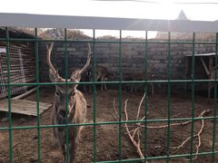 -清风小镇闯关东影视基地