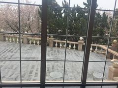-青岛海景花园大酒店·白果树餐厅青岛菜