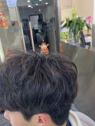 -东梵造型·烫发染发接发连锁SALON