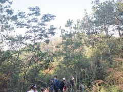 -青龙山国家森林公园