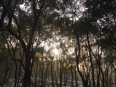 -西安市长乐公园