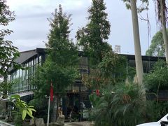 -桉树林A coffee 森林餐厅(三圣乡店)