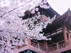 -西安青龙寺遗址景区