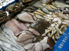 -山东八大碗山东老字号