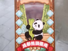 -成都大熊猫繁育研究基地