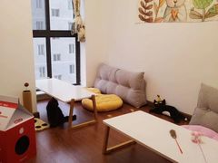 -团子家猫咪猫咖馆·柯基·柯尔鸭