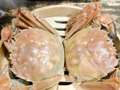 -赤甲皇(仙霞路店)