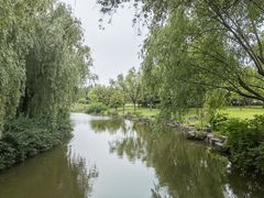 -上海滨江森林公园