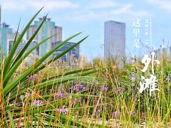-南外滩