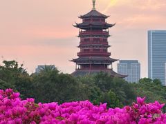 -厦门园林博览苑