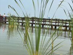 -西青郊野公园