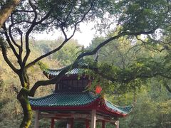 -岳麓山风景名胜区