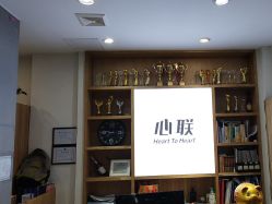 -心联形象设计·流星染