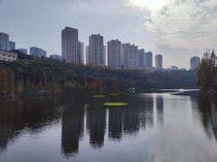 -重庆彩云湖湿地公园